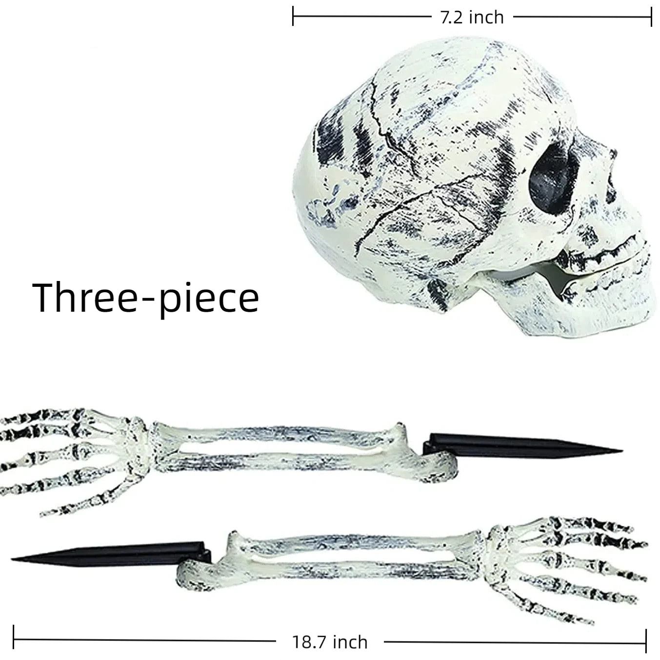 💀 BoneCreep™ Realistic Skeleton Stakes
