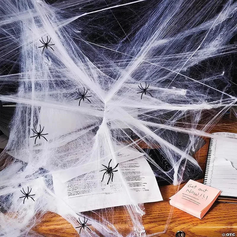Halloween Spider Web Decoration