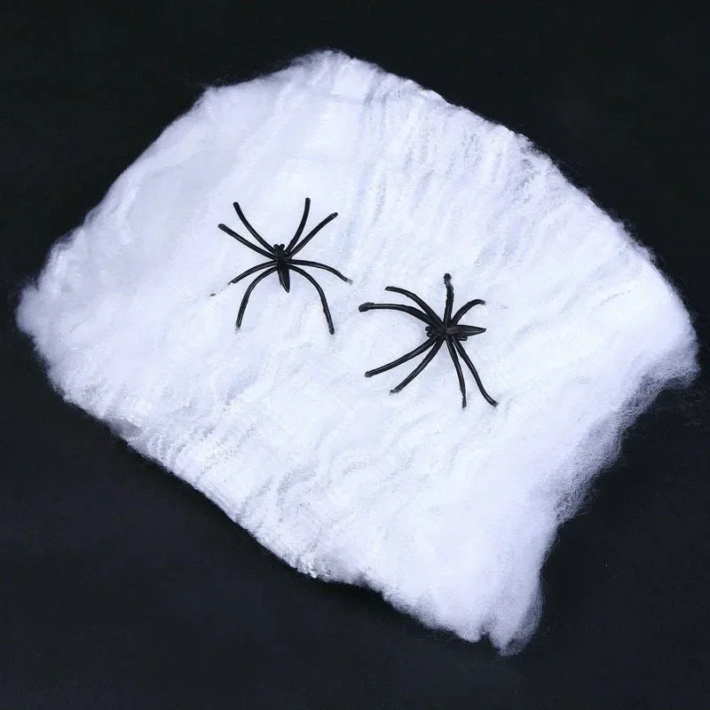 Halloween Spider Web Decoration