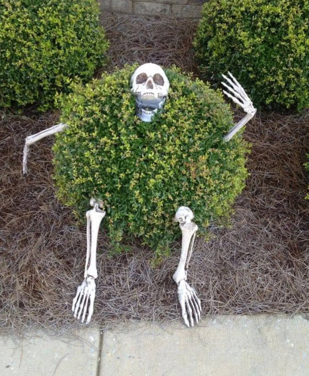 💀 BoneCreep™ Realistic Skeleton Stakes